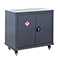 CoSHH cupboards - Image 3 - Small