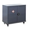 CoSHH cupboards - Image 3 - Thumbnail