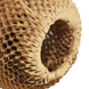hive - Thumbnail