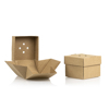 empty burger box open and closed - Thumbnail