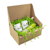 zigzag paper green box - Thumbnail